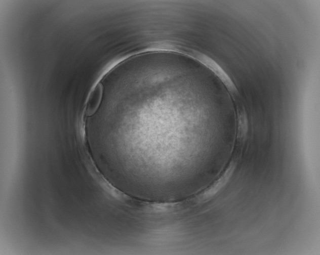 X0000112010908200908101339