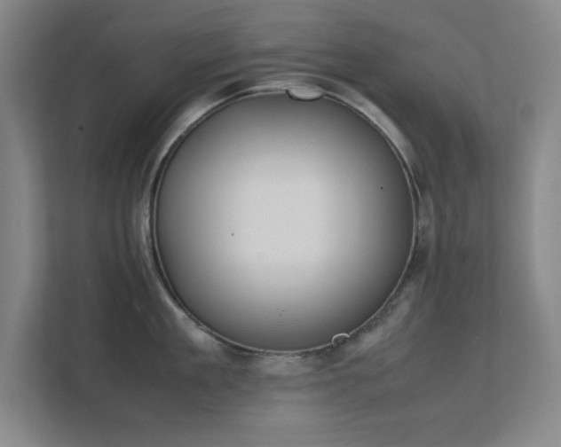 X0000112010909200908101339