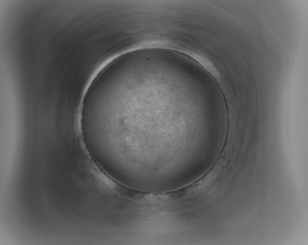 X0000112010912200908101339