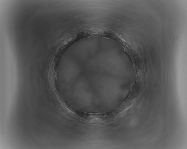 X0000112010913200908101339