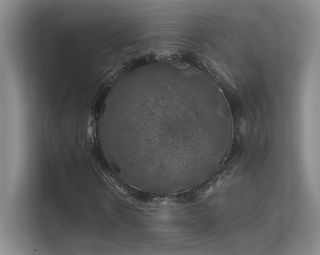 X0000112010914200908101339