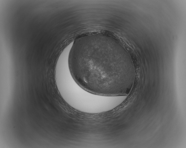 X0000112010916200908101339