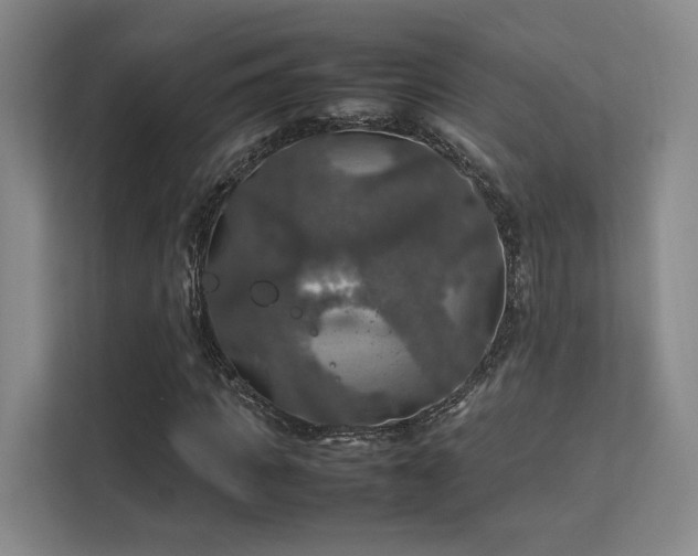 X0000112010917200908101339