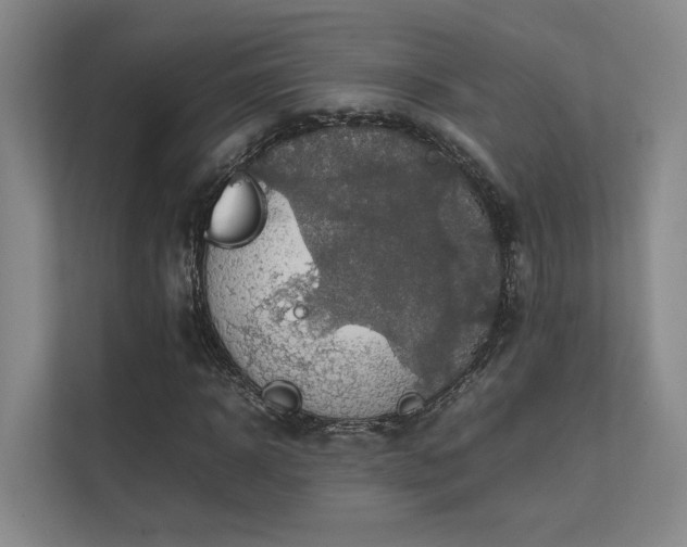 X0000112010918200908101339