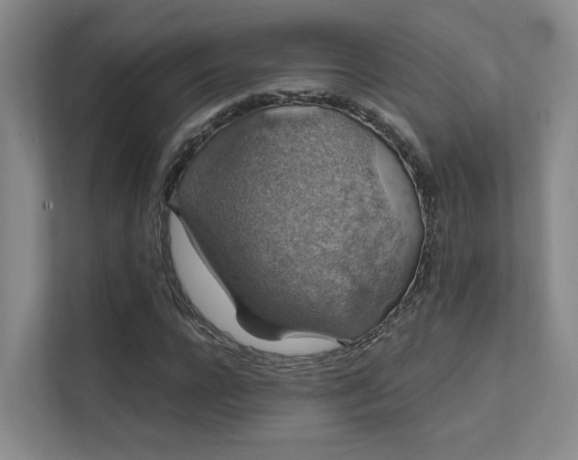 X0000112010920200908101339