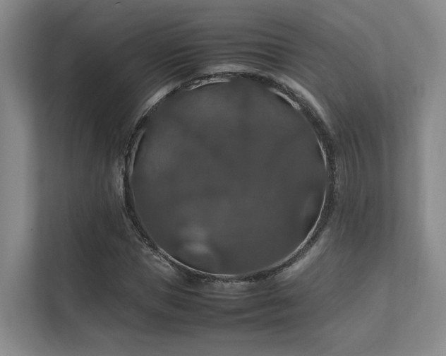 X0000112010921200908101339