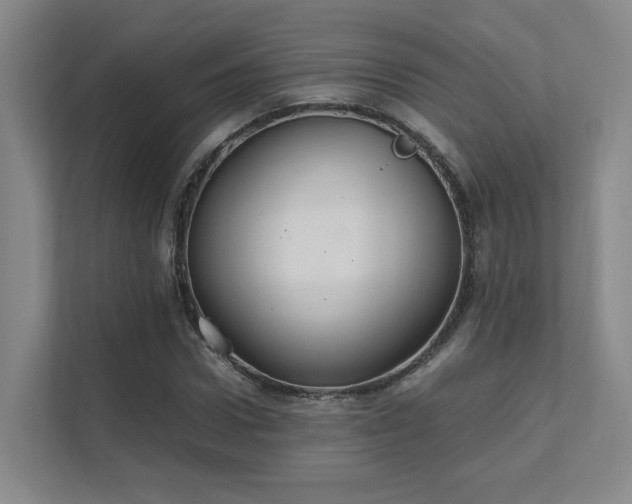 X0000112010922200908101339