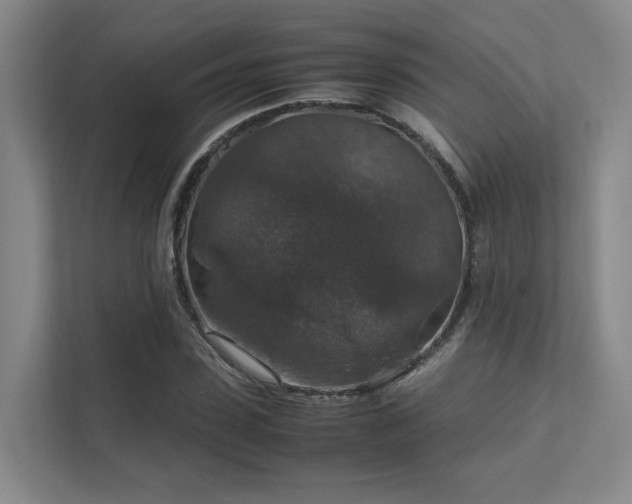 X0000112010923200908101339