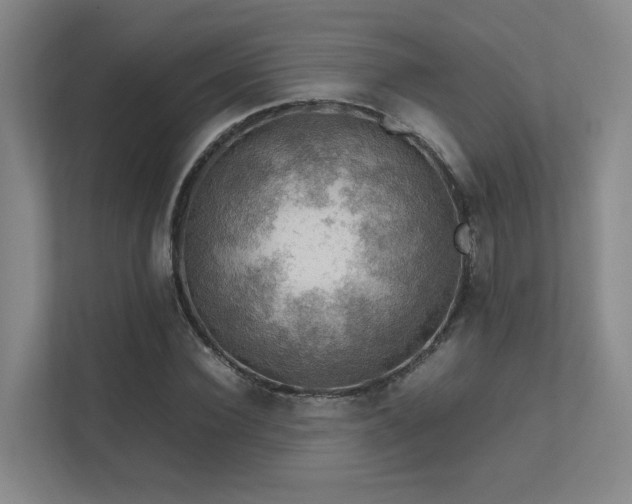 X0000112010924200908101339