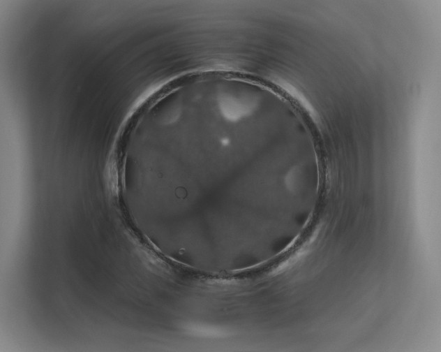 X0000112010925200908101339