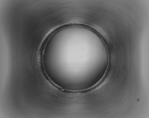 X0000112010926200908101339