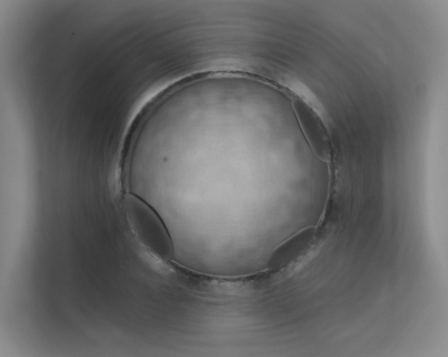 X0000112010928200908101339