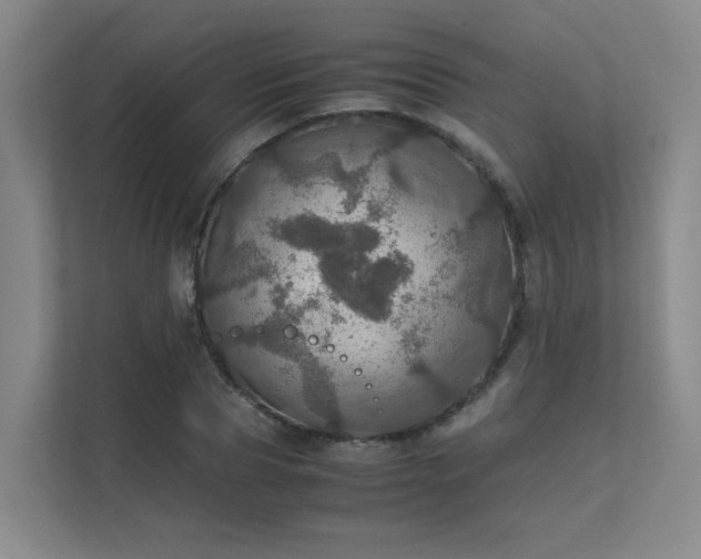 X0000112010929200908101339