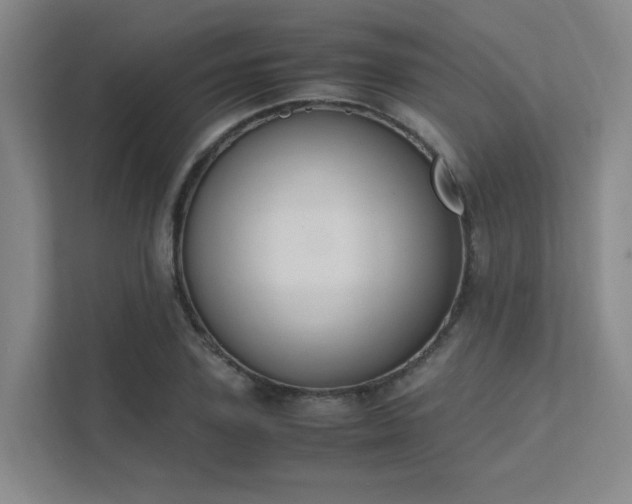 X0000112010931200908101339