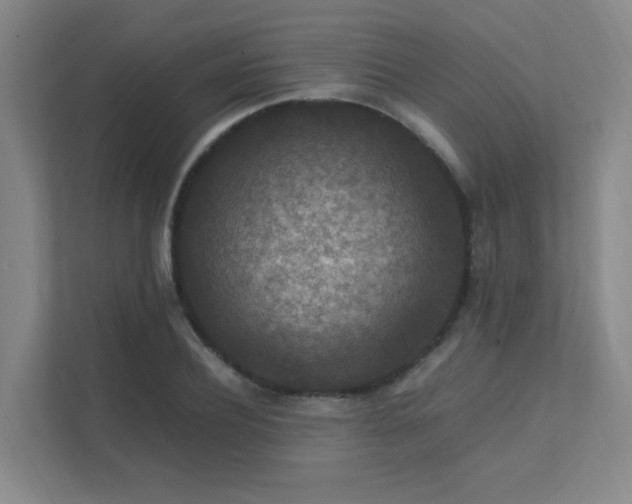 X0000112010932200908101339