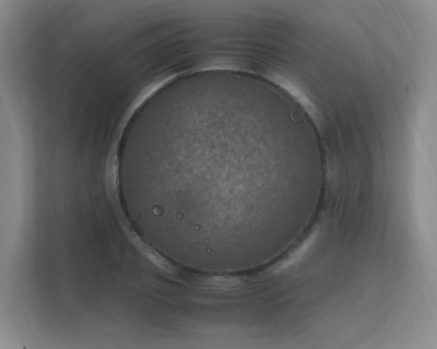 X0000112010933200908101339