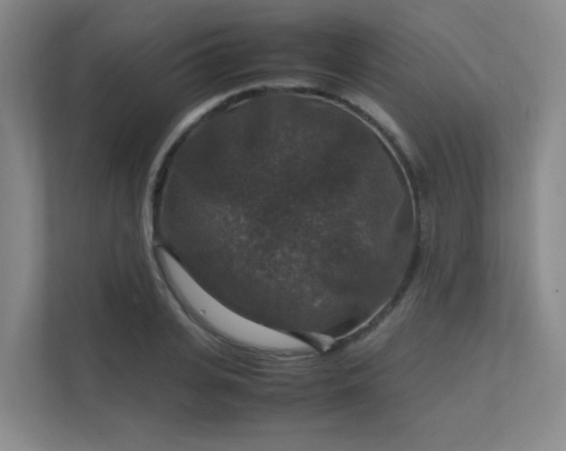 X0000112010935200908101339