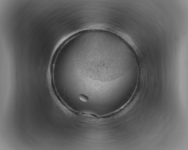 X0000112010936200908101339