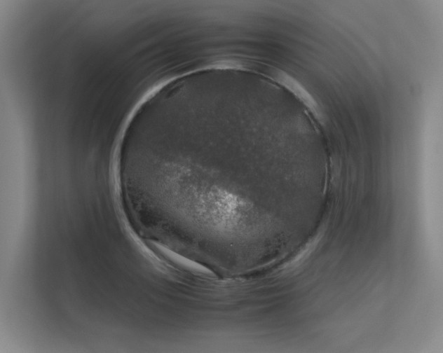 X0000112010939200908101339