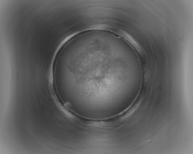 X0000112010940200908101339