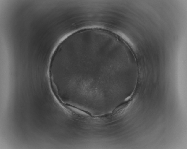 X0000112010943200908101339