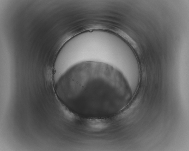 X0000112010945200908101339