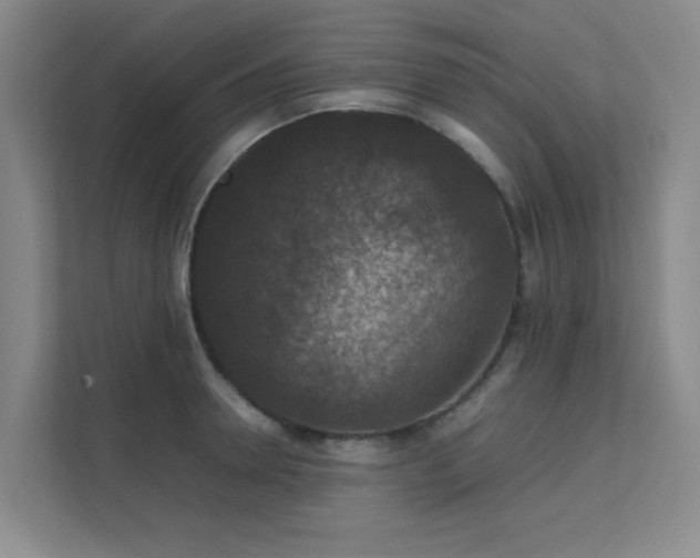 X0000112010946200908101339