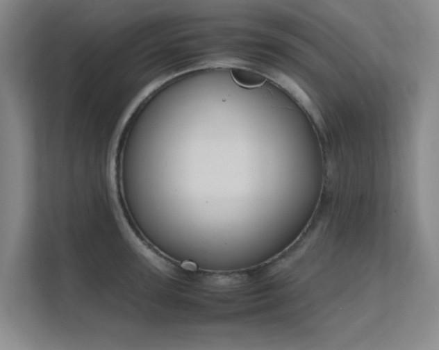 X0000112010947200908101339