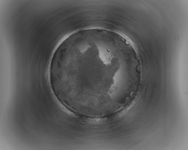 X0000112010949200908101339