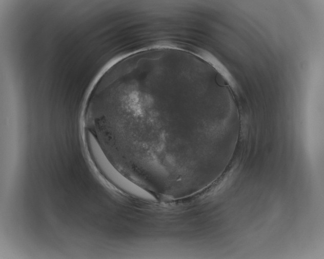 X0000112010955200908101339