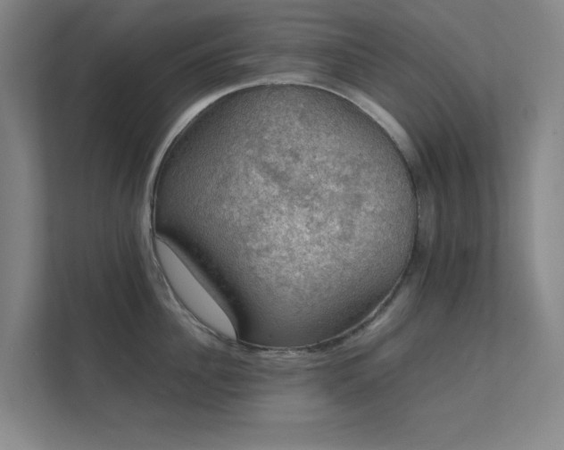 X0000112010956200908101339