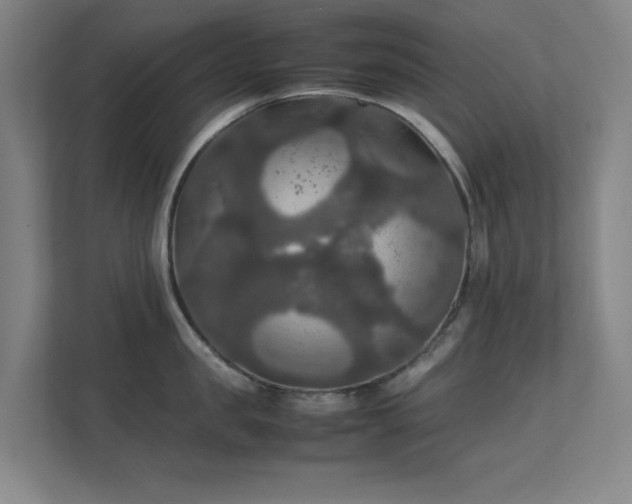 X0000112010957200908101339