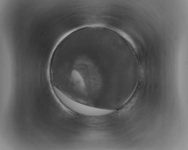 X0000112010959200908101339