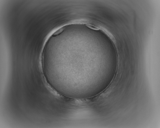 X0000112010960200908101339