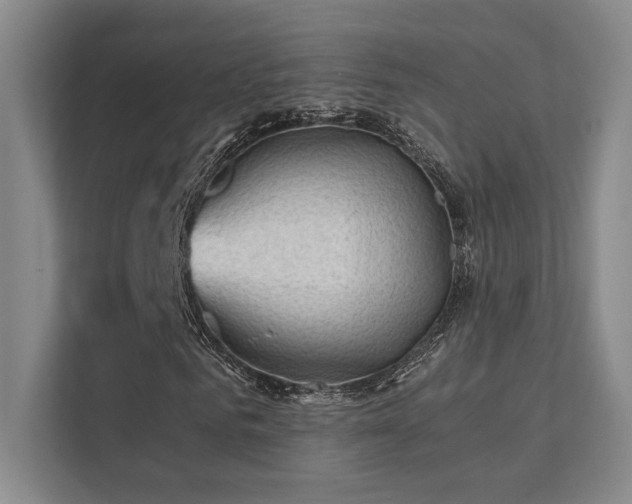 X0000112010961200908101339