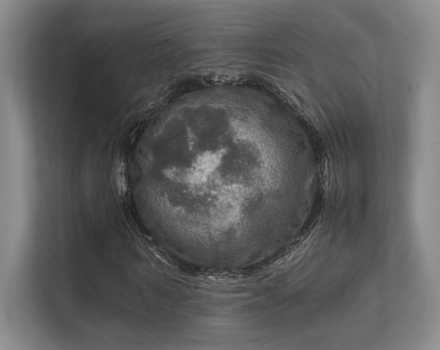 X0000112010962200908101339