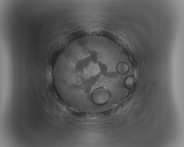 X0000112010963200908101339