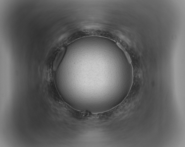 X0000112010965200908101339