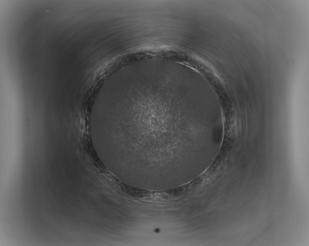 X0000112010966200908101339