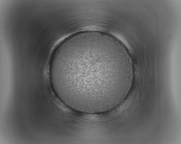 X0000112010971200908101339