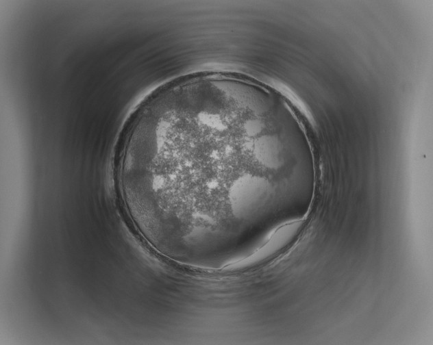 X0000112010972200908101339