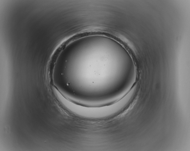 X0000112010973200908101338