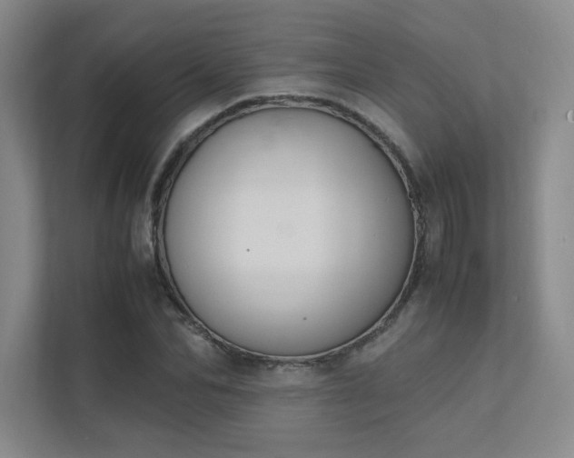 X0000112010974200908101338