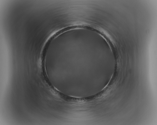 X0000112010975200908101338