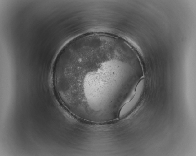 X0000112010976200908101338