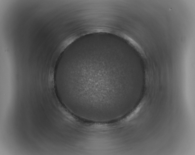 X0000112010977200908101338