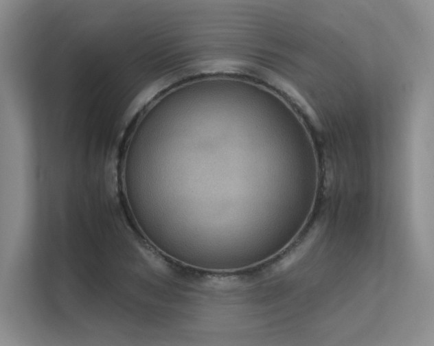 X0000112010978200908101338