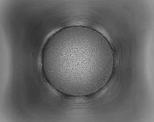 X0000112010979200908101338