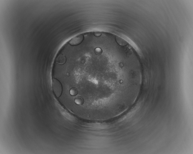 X0000112010980200908101338