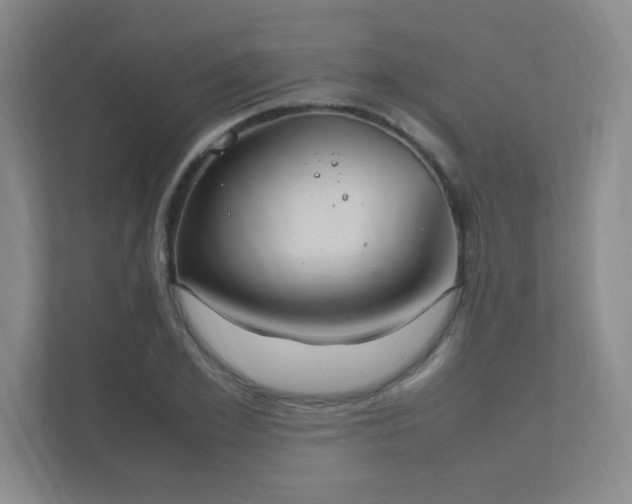 X0000112010981200908101338